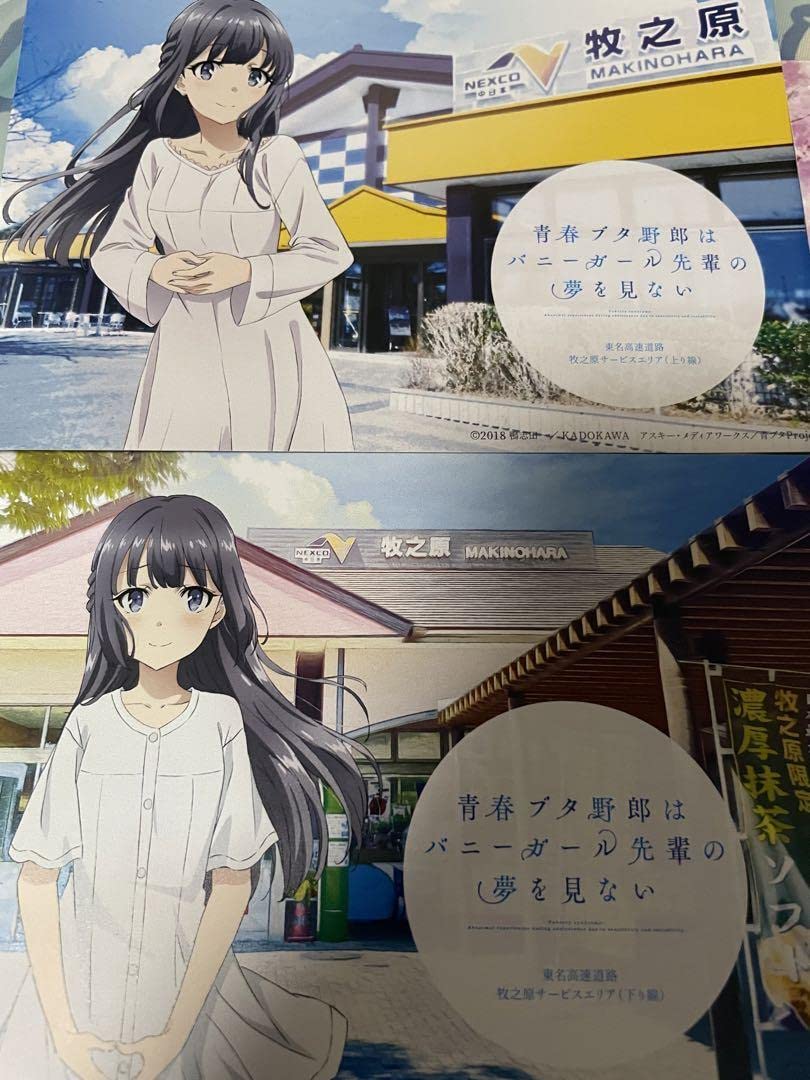 Amazon.co.jp: 青ブタ 青春ブタ野郎はバニーガール先輩の夢を見